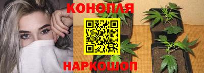 экстази Можга
